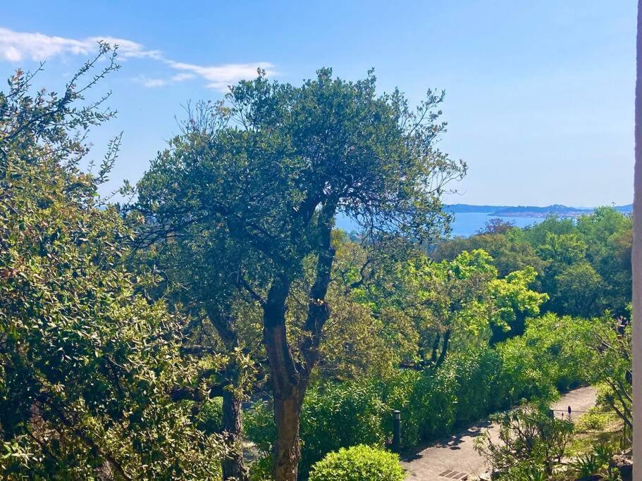 Apartment Les Restanques 3 Etoiles 4 A 5 Pers 2143
